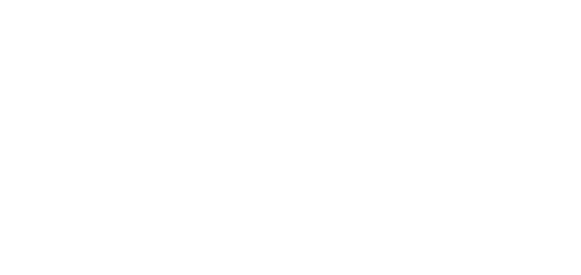 CFS Fibre Systems GmbH Logo